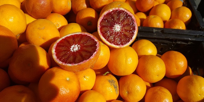 Blutorange (Citrus sinensis)