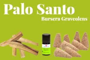 Palo Santo (Bursera Graveolens)